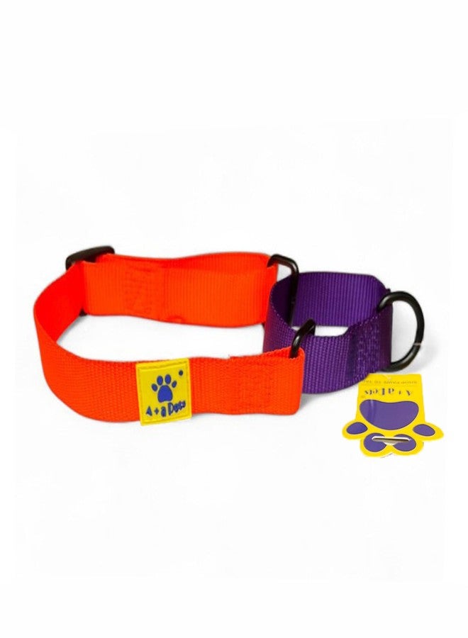 A+a Pets Martingale Dog Collar | No Pull Design, No Neck Strain, No Choke Design | for Large & Medium Dogs | Rust Free, Waterproof Nylon Training Collar (Orange & Purple), 30 x 2.5 cm - Image 1